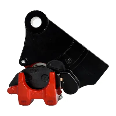 CALIPER TRAS ALESSIA ALPINA 300 23-24