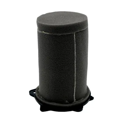 ELEMENTO ALESSIA FILTRO AIRE NITROX300 23-24