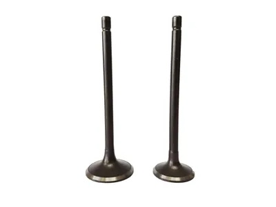 VALVULA SAYTO ADM/ESC FIERA 150