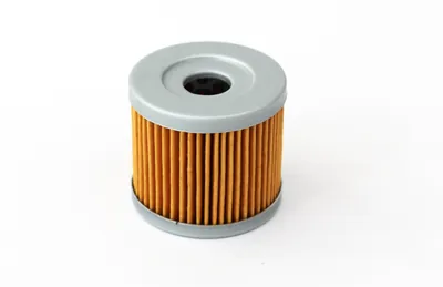 FILTRO SAYTO ACEITE VORTX-200