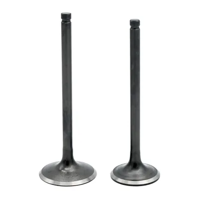 VALVULA ALESSIA ADM/ESC DM300 24-25/VORTX250 22-24/BLACKBIRD 21-24