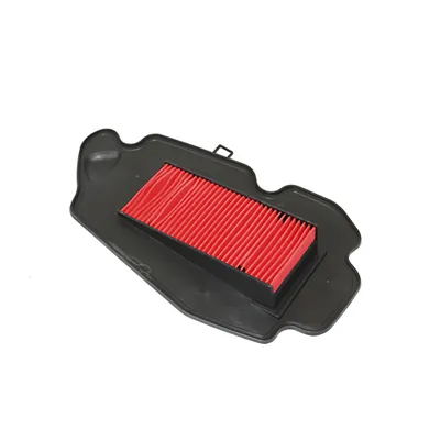 ELEMENTO SAYTO FILTRO AIRE ELITE 125