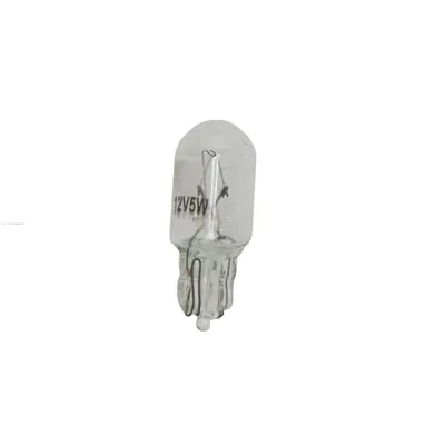 FOCO DE PELLIZCO (MEDIANO) 5W 12V