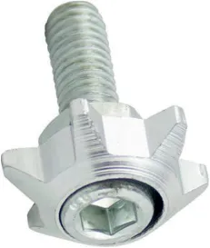 TORNILLO DECORATIVO ESTRELLA PLATA
