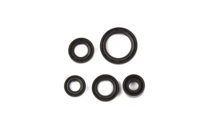 RETENES SAYTO MOTOR AT-110 (5 PIEZAS)